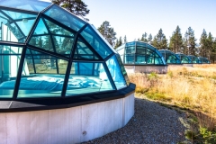Kakslauttanen Iglut